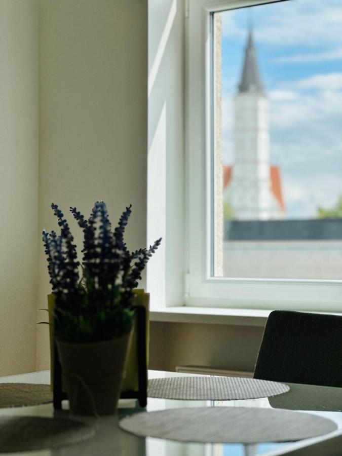 Ferienwohnung Butas Paciame Siauliu Miesto Centre Šiauliai Exterior foto